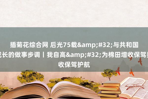 插菊花综合网 后光75载&#32;与共和国同成长的做事步调丨我自高&#32;为棉田增收保驾护航