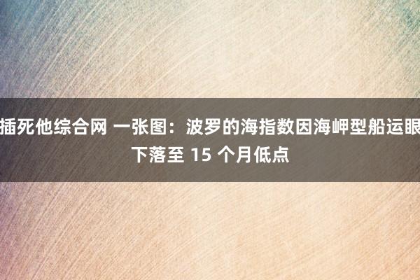 插死他综合网 一张图：波罗的海指数因海岬型船运眼下落至 15 个月低点