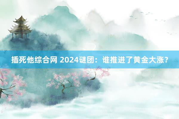 插死他综合网 2024谜团：谁推进了黄金大涨？