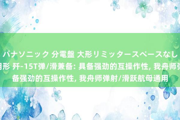 パナソニック 分電盤 大形リミッタースペースなし 露出・半埋込両用形 歼-15T弹/滑兼备: 具备强劲的互操作性， 我舟师弹射/滑跃航母通用