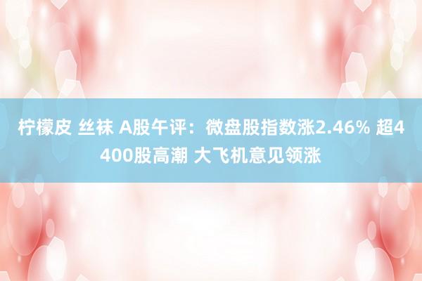 柠檬皮 丝袜 A股午评：微盘股指数涨2.46% 超4400股高潮 大飞机意见领涨