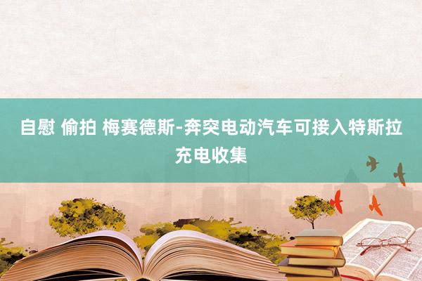 自慰 偷拍 梅赛德斯-奔突电动汽车可接入特斯拉充电收集