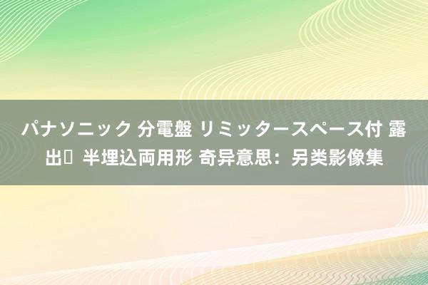 パナソニック 分電盤 リミッタースペース付 露出・半埋込両用形 奇异意思：另类影像集