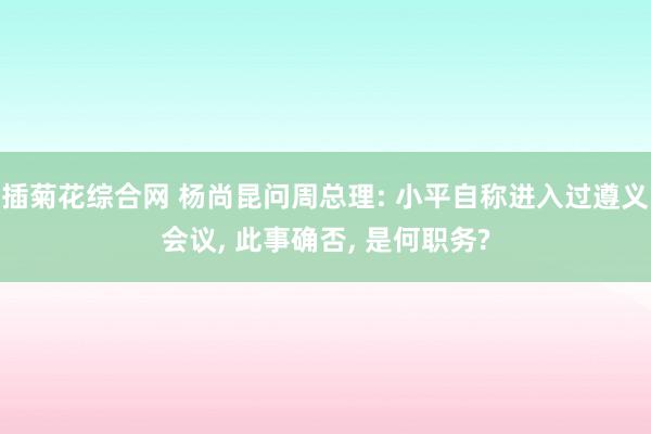 插菊花综合网 杨尚昆问周总理: 小平自称进入过遵义会议， 此事确否， 是何职务?