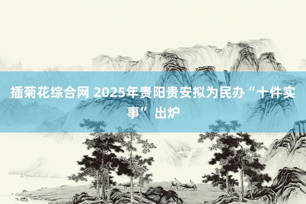 插菊花综合网 2025年贵阳贵安拟为民办“十件实事” 出炉