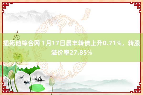 插死他综合网 1月17日晨丰转债上升0.71%，转股溢价率27.85%