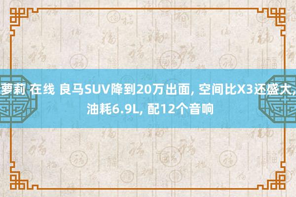 萝莉 在线 良马SUV降到20万出面， 空间比X3还盛大， 油耗6.9L， 配12个音响