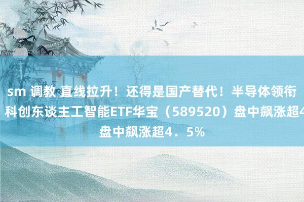 sm 调教 直线拉升！还得是国产替代！半导体领衔上攻，科创东谈主工智能ETF华宝（589520）盘中飙涨超4．5%